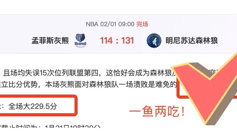 德约科维奇：探寻与中国的深情足迹